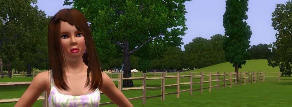 My Sims 3 Story Blog
